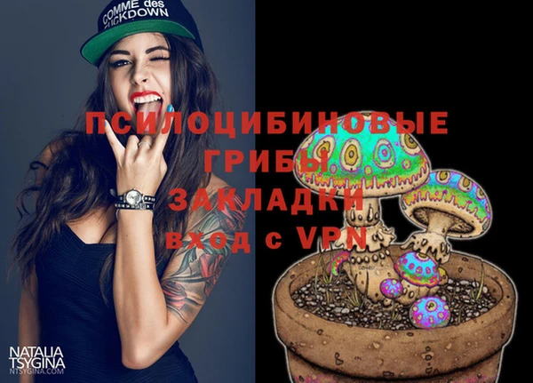 mdpv Краснотурьинск
